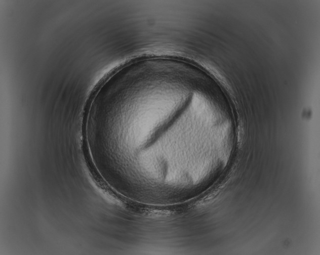 X0000091100438200708271319