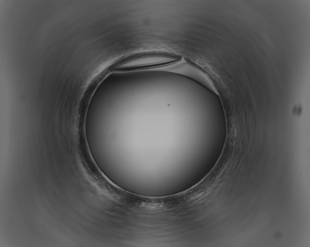 X0000091100440200708271319