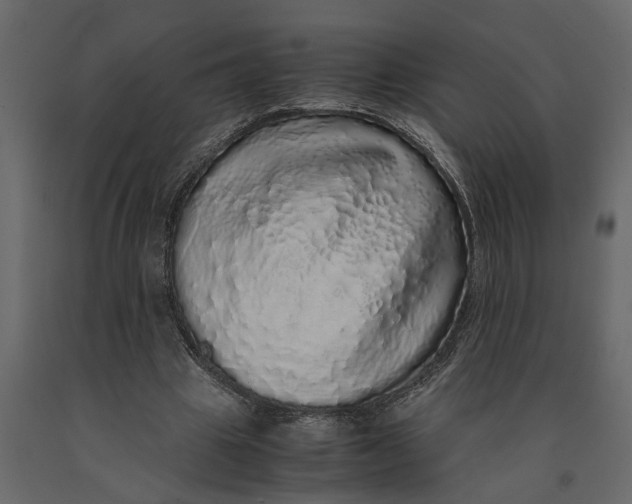 X0000091100441200708271319