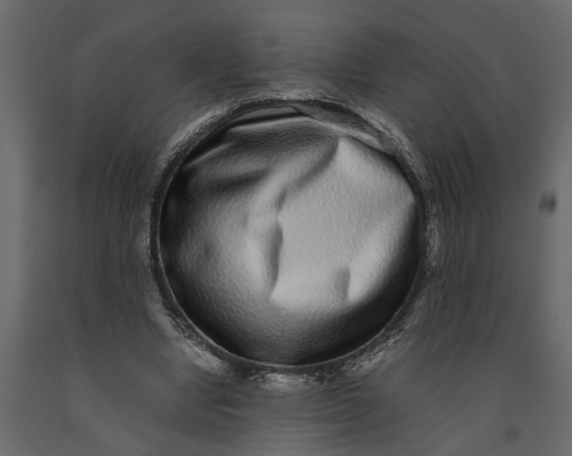 X0000091100442200708271319