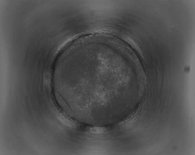 X0000091100444200708271319