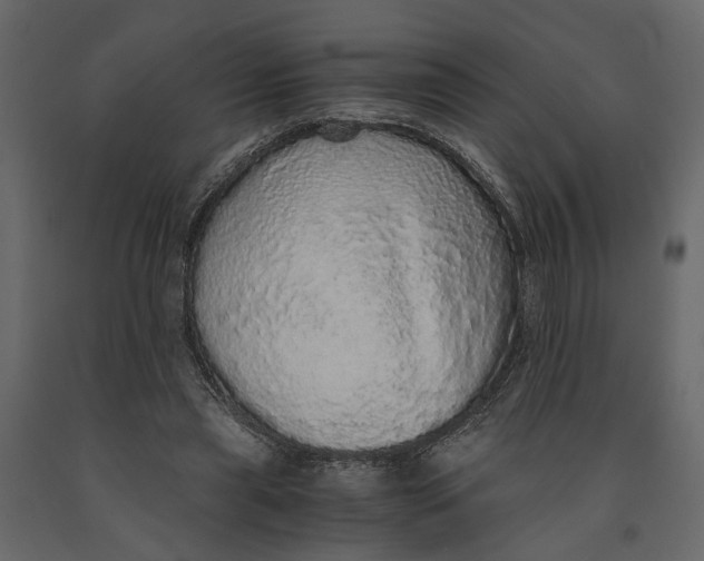 X0000091100445200708271319