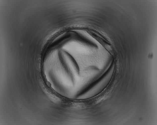 X0000091100446200708271319