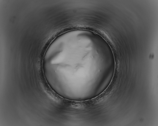 X0000091100447200708271319