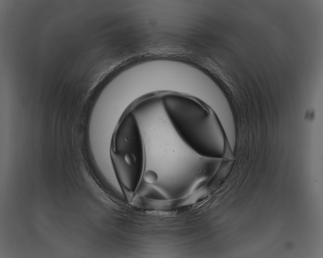 X0000091100448200708271319