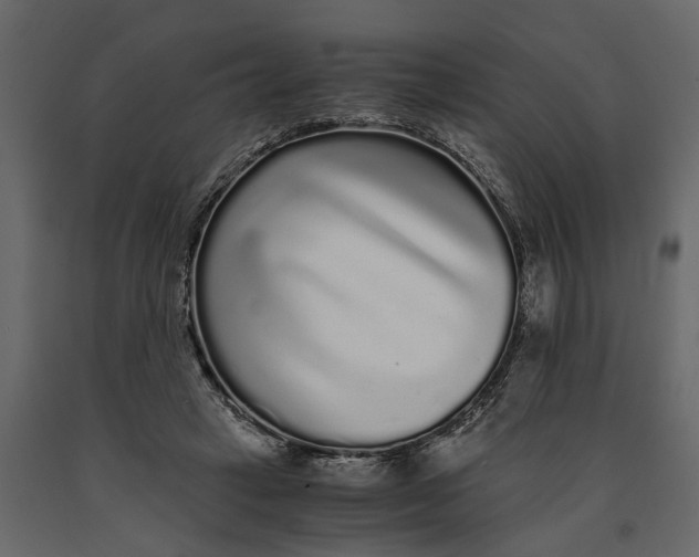 X0000091100449200708271319