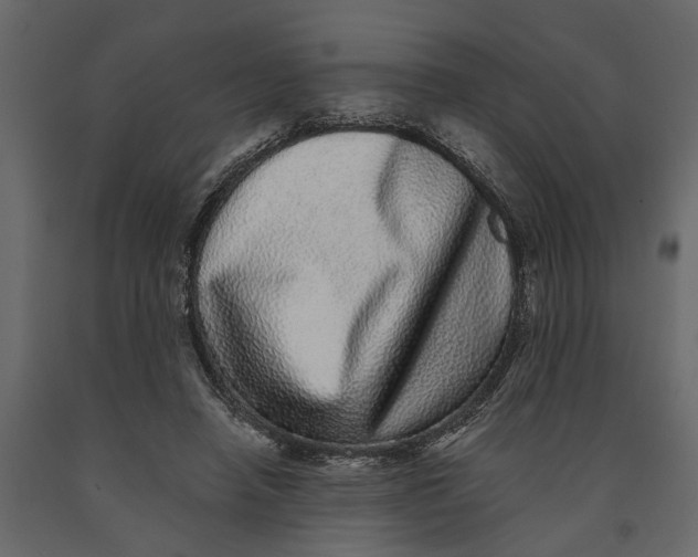 X0000091100450200708271319