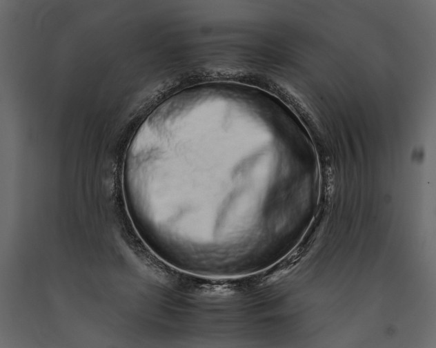 X0000091100451200708271319