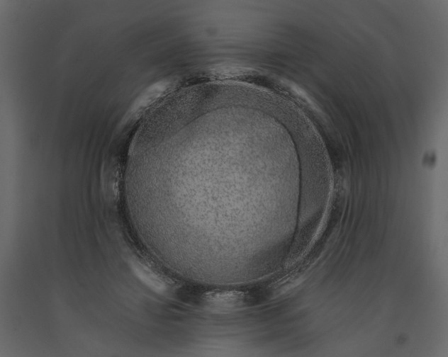 X0000091100452200708271319