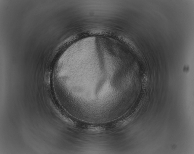 X0000091100454200708271320