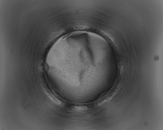 X0000091100455200708271320