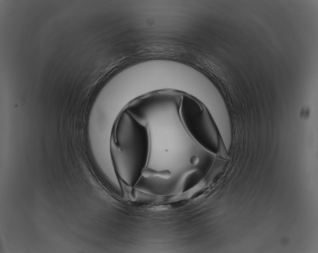 X0000091100456200708271320