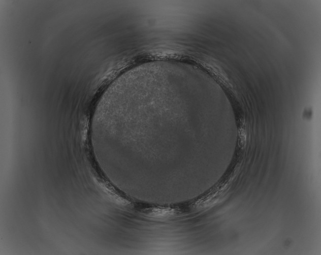 X0000091100458200708271320