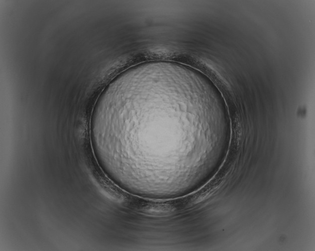 X0000091100459200708271320