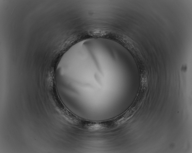 X0000091100460200708271320