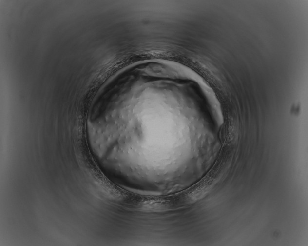 X0000091100461200708271320