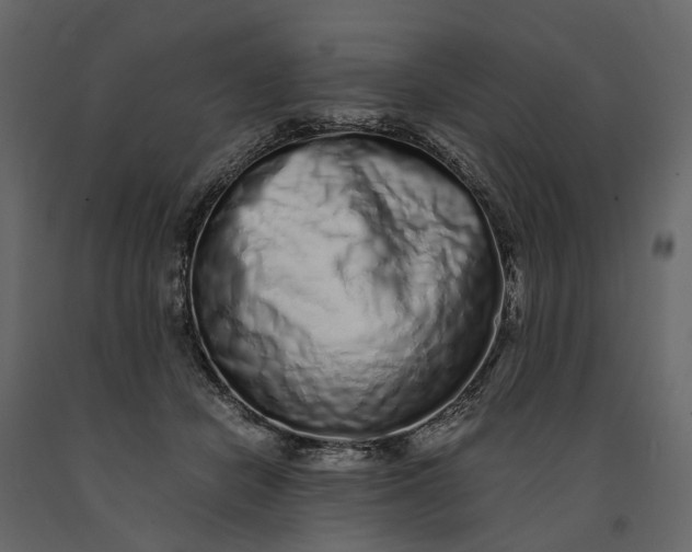 X0000091100462200708271320