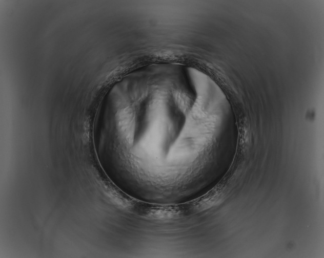 X0000091100466200708271320