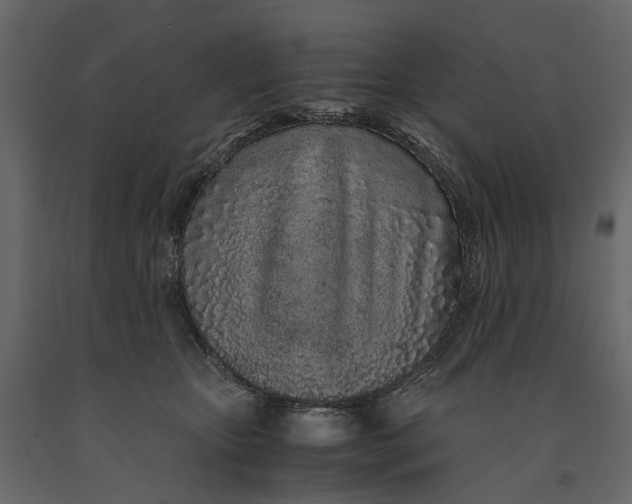 X0000091100467200708271320