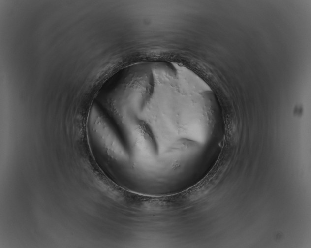 X0000091100470200708271320