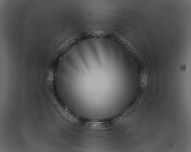 X0000091100472200708271320