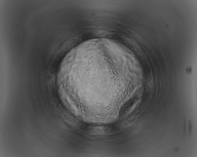 X0000091100473200708271320