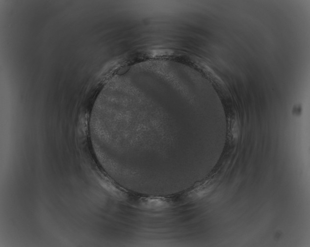 X0000091100475200708271320