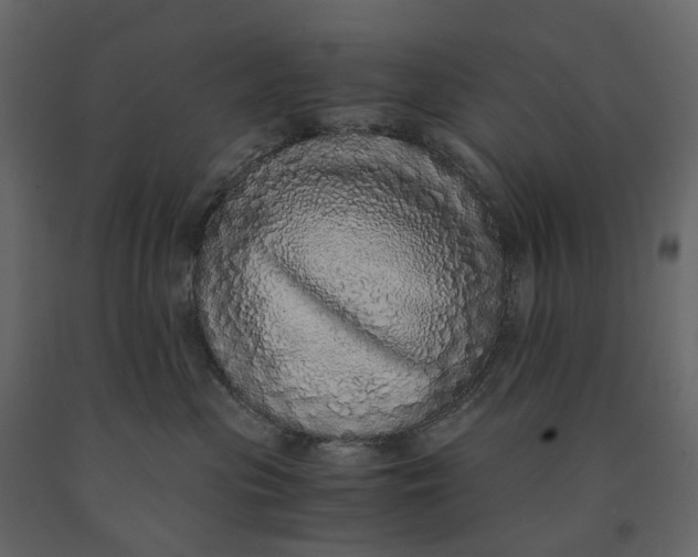 X0000091100477200708271320