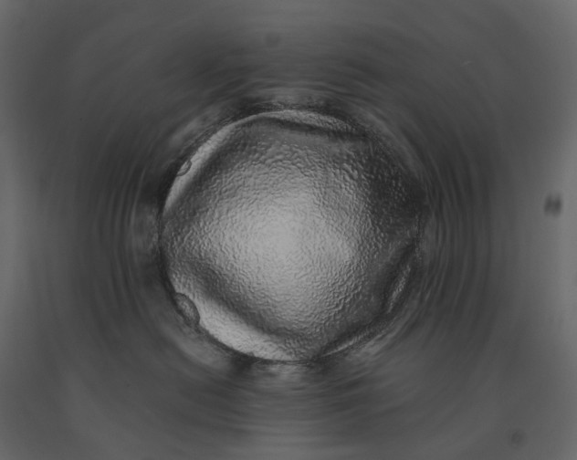 X0000091100478200708271320