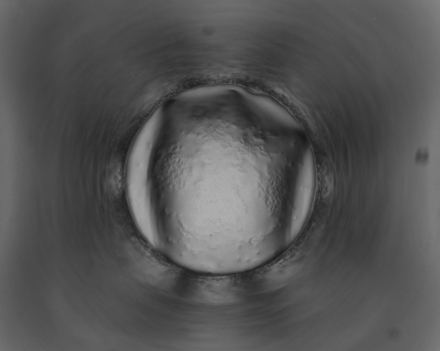 X0000091100479200708271320