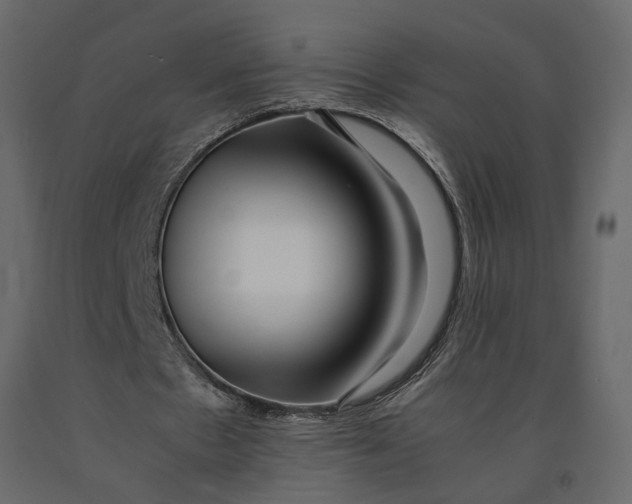 X0000091100481200708271319