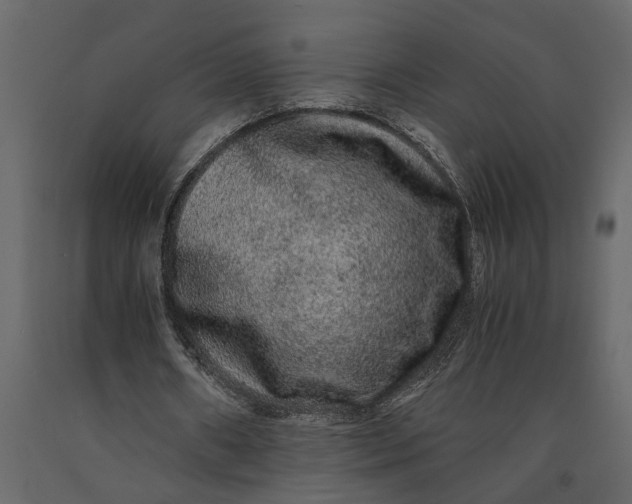 X0000091100482200708271319