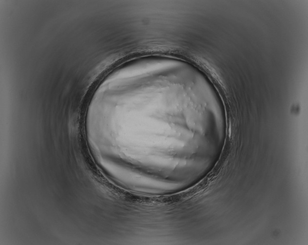 X0000091100483200708271319