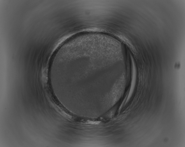 X0000091100484200708271319