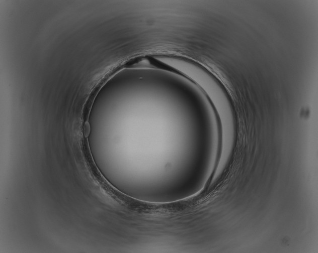 X0000091100485200708271319