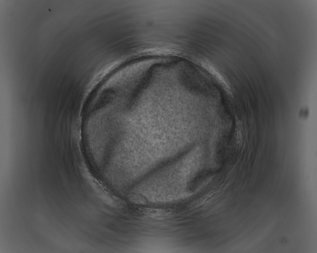 X0000091100486200708271319