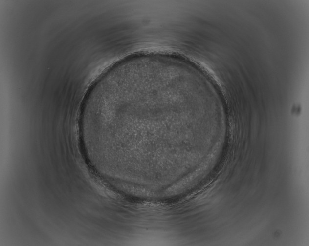 X0000091100487200708271319