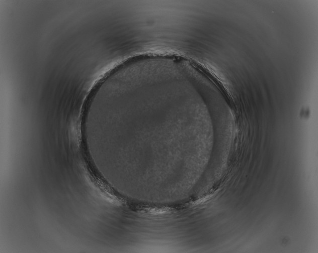 X0000091100488200708271319