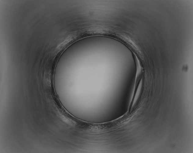 X0000091100489200708271319