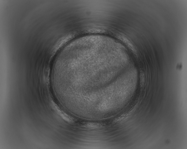 X0000091100490200708271319