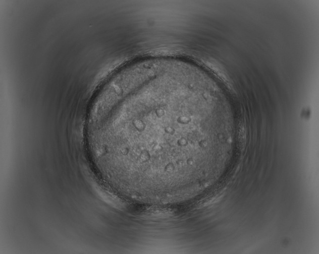 X0000091100491200708271319