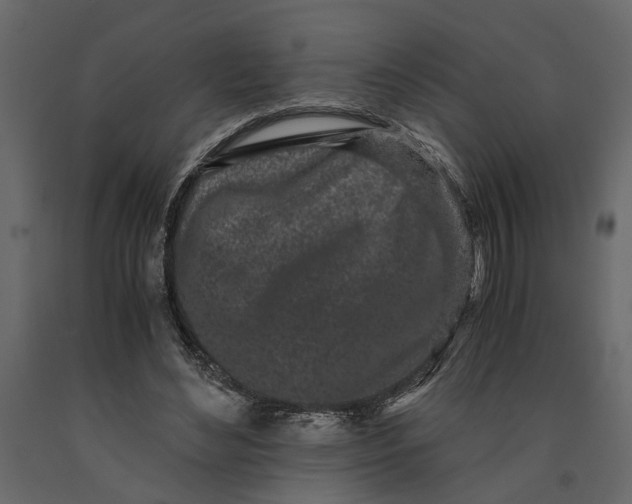 X0000091100492200708271319