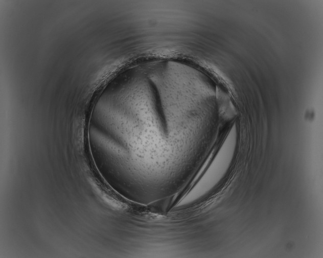 X0000091100493200708271319