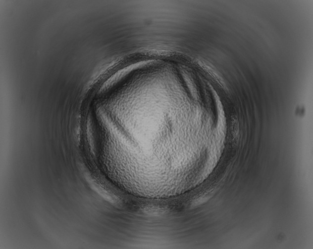 X0000091100494200708271319