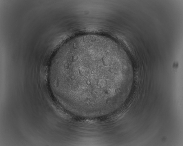 X0000091100495200708271319