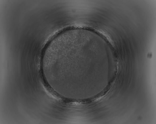 X0000091100496200708271319