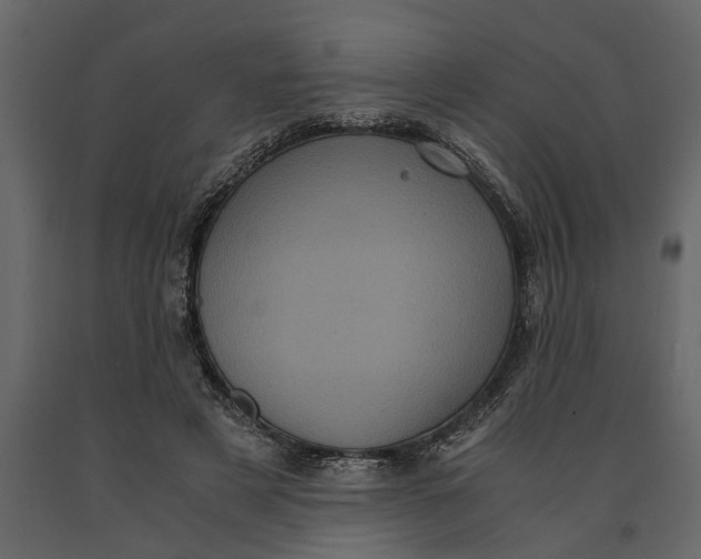 X0000091100497200708271319