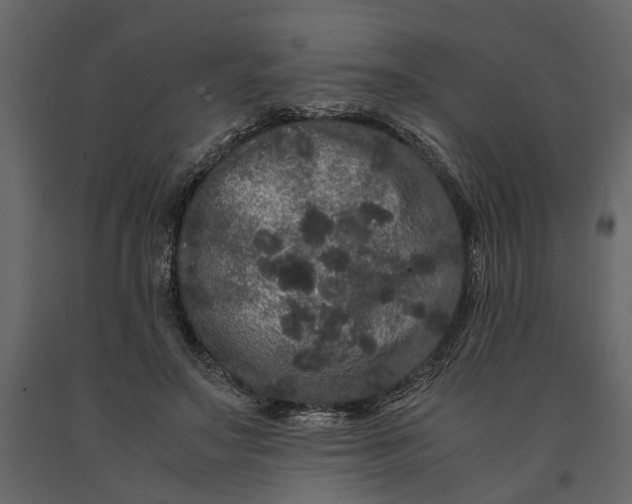 X0000091100499200708271319