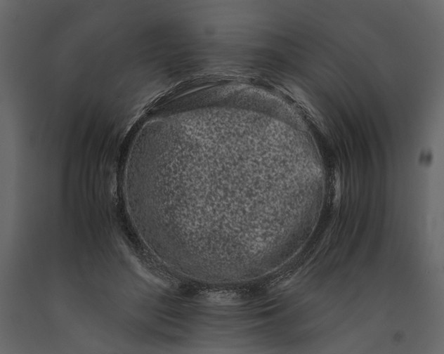 X0000091100500200708271319