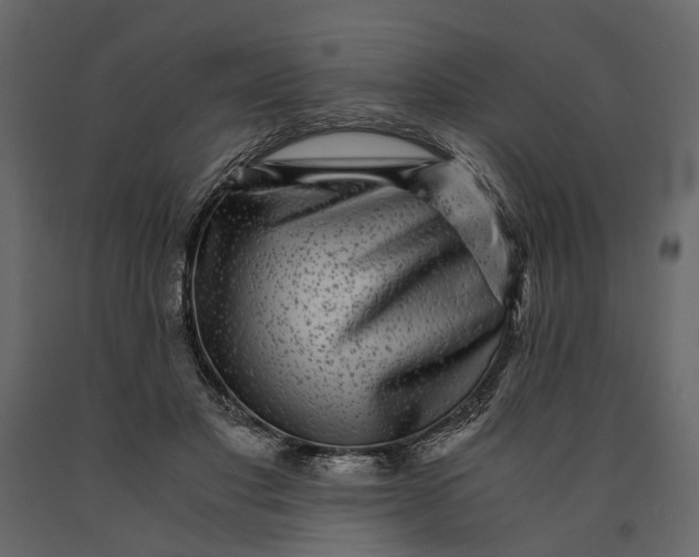 X0000091100501200708271319